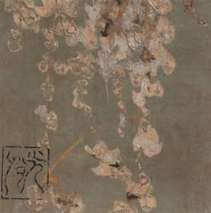 Wisteria-kukkia, Edo-kausi, 1600-luvun alku.