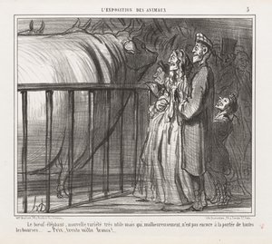 Eläinten näyttely: Pl. 5, The Cow-Elephant, New Variety.... tekijältä Honoré Daumier