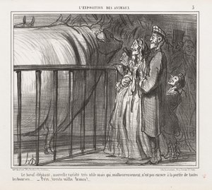 Eläinten näyttely: Lehmä-elefantti, uusi lajike tekijältä Honoré Daumier