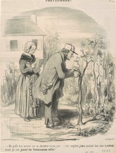 Kirsikkapuun varttaminen aprikoosipuuhun ei vaatinut ... tekijältä Honoré Daumier