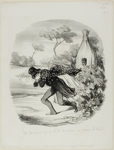 Herrasmies, joka halusi tutkia mehiläisten tapoja liian tarkasti, levy 6 Pastorales-taulukosta tekijältä Honoré Victorin Daumier