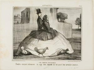 Anteeksiannettava virhe. Kanat luulevat löytäneensä häkin, jossa ne viettivät varhaislapsuutensa, kuva 21 La Crinolomanie -lehdestä. tekijältä Honoré Victorin Daumier