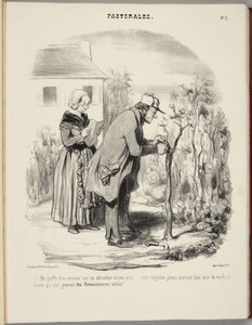 Kirsikkapuun varttamiseni aprikoosipuuhun ei onnistunut... tekijältä Honoré Daumier