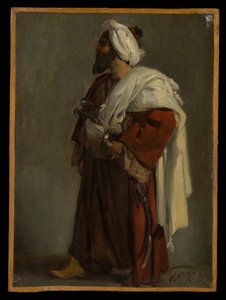 Arabisoturi