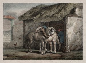 Maatilan hevonen tekijältä Emile Jean Horace Vernet