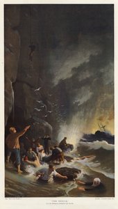 The Rescue (väri litho)