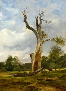 The Blased Tree, n. 1838 (öljy kankaalle)