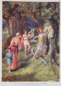 "Jason repi fleecen irti puunrungosta" (väri litho) tekijältä Howard Davie