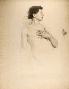 Alaston poika, ylävartalo ja pää tekijältä Howard Russell Butler