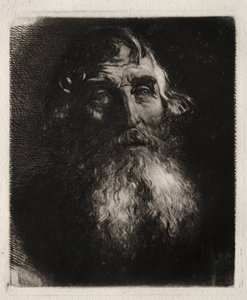 Tutkimus vanhan miehen päästä tekijältä Hubert von Herkomer