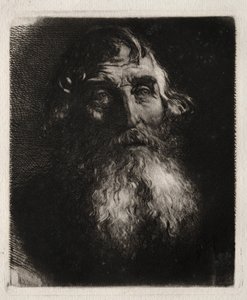 Tutkimus vanhan miehen päästä. tekijältä Hubert von Herkomer
