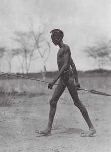 Afrikka: Dinka-soturi keihään kanssa (s/w-kuva).