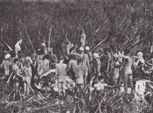 Afrikka: Nuer-metsästäjät norsun ruhon kanssa (s/w-kuva). tekijältä Hugo Adolf Bernatzik