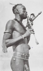 Keski-Afrikan njambara (s/w-kuva)