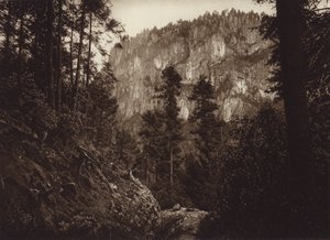 Meksiko: La Canada, Contreras, D F (s/w-kuva).
