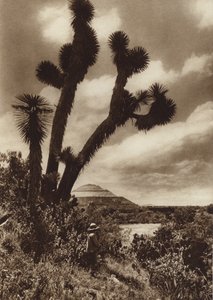 Meksiko: San Juan Teotihuacan, Piramide del Sol (s/w-kuva). tekijältä Hugo Brehme