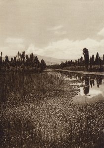 Meksiko: Xochimilco, yksi pääkanavista (s/w-kuva)