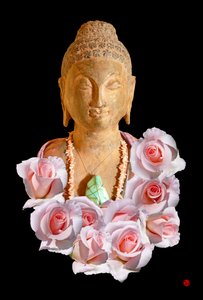 BUDDHA tekijältä Hugo Nefe