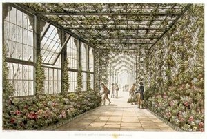 Konservatorion käytävä, kaiverrettu Joseph Constantine Stadlerin (1780-1812) teoksesta "Designs for the Pavilion at Brighton", pub. 1808 (värilitro) tekijältä Humphry Repton
