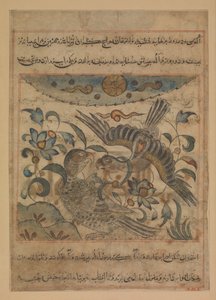 Pair of Eagles, Folio Manafi