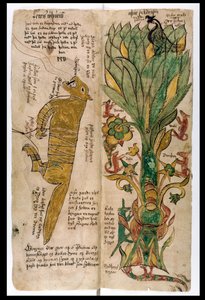 Susi Fenrir ja Maailmanpuu Yggdrasil, 1680
