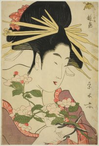 Chojiyan kurtisaani Hinazuru