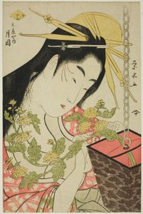 Herra Tsukioka Te Hyogosta