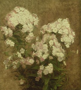 Phlox, 1870 tekijältä Ignace Henri Jean Fantin Latour