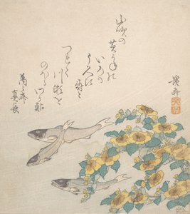 Kalat uivat keltaisilla kukilla, n. 1830. tekijältä Ikeda Eisen