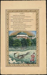 Monipäinen lohikäärme ja monipyrstölohikäärme, 1837-1839.