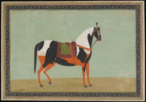 Hevonen, albumin folio, 1800-luku (läpinäkymätön akvarelli ja kulta paperille) tekijältä Indian School