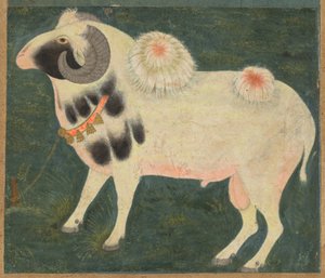 Kuninkaallinen pässi kultaketjulla, n. 1585 (läpinäkymätön akvarelli ja kulta paperille) tekijältä Indian School