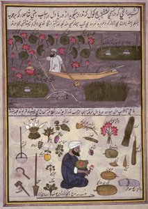 "Album of Kashmiri trades", n. 1860 (akvarelli paperille) tekijältä Indian School