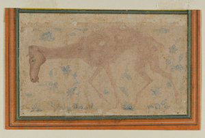 Laihtunut hevonen, Mughalista tai Deccanista, 1600-luvun puoliväli (muste ja väripesu paperille) tekijältä Indian School