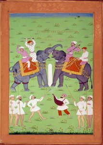 Kahden norsun taistelu Shah Alemin intialaisten ja persialaisten pienoismallien hovissa Niccolo Manuccin (1638-1717) "Intian historiasta Tamertantesta Orangreybiin" -sarjassa. B.N., Pariisi. tekijältä Indian School