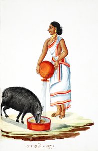 Villisian ruokinta (wc paperilla) tekijältä Indian School