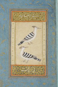 Hoopoes, n. 1590 (läpinäkymätön wc ja kultaa paperilla) tekijältä Indian School