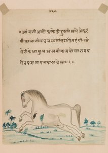 Hevonen (läpinäkymätön wc paperilla) tekijältä Indian School
