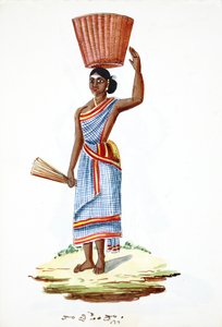 piika (wc paperilla) tekijältä Indian School