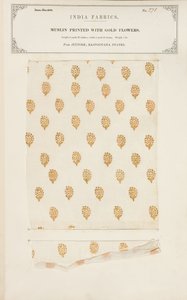 Musliininäyte painettu kultakukilla Jeyporesta Rajpootanan osavaltioista, kokoelmasta The Collection of the Textile Manufacturers of India, John Forbes Watson, julkaistiin vuonna 1866 tekijältä Indian School