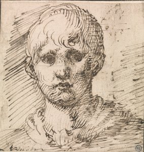 Cabeça de um boyfinlandês tekijältä Inigo Jones