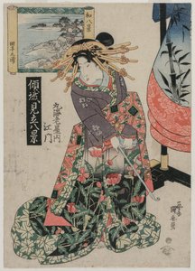 Maruebiyan kurtisaani-emon näköalalla Tago Baylle..., n. 1820-luvun lopulla tai 1830-luvun alussa. tekijältä Ipposai Kuniyasu