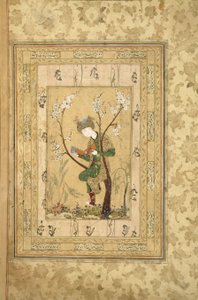 Nuoriso istuu kukkivan puun haarukassa, 1560-luku tekijältä Iranian Master