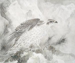 Haukka (Falke) tekijältä Irie Hako
