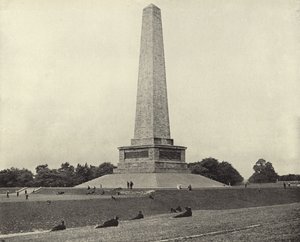 The Wellington Testimonial, Phoenix Park (m/w kuva) tekijältä Irish Photographer