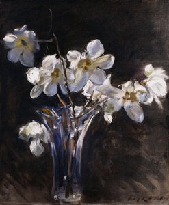 Magnoliat maljakossa