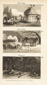 Kaupat Norfolkissa, Regency Englandissa tekijältä Isaac Taylor