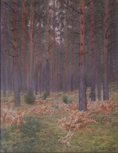 Saniaiset, 1894