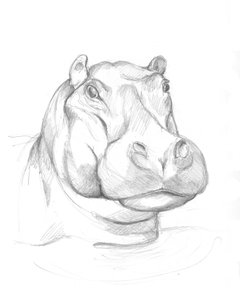 Virtahepo 02