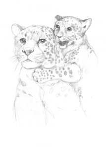 Leopardit